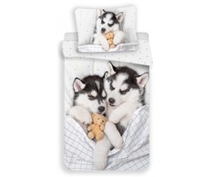 Patalynė bawełniana 140x200 Pieski Husky pies 7592 poszewka 70x90 mlodzieżowa miś uszatek dog