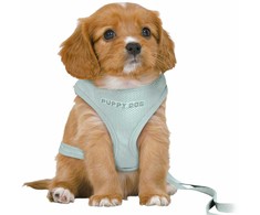 Trixie Junior, minkšti pakinktai šuniukams, su pavadėliu, tinkleliu ir diržu, 36-50 cm/10 mm, 2,00 m, mėtų spalvos