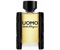 Salvatore Ferragamo S. Ferragamo Uomo Pour Homme EDT tualetinis vanduo, 100 ml