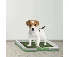 Puppy dog grass litter tray learning mat