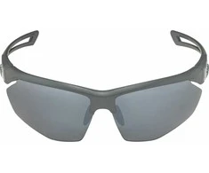 Alpina Nylos HR Sunglasses cat. 3 Pilkas