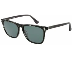 Vyriški akiniai nuo saulės Web Eyewear WE0363 5520V