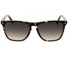 Vyriški akiniai nuo saulės Web Eyewear WE0363 5556B