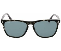 Vyriški akiniai nuo saulės Web Eyewear WE0363 5520V