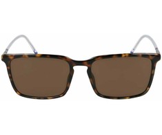 Akiniai ZEISS ZS22512S56172. Akiniai przeciwsłoneczne, Kolor ruda. Mężczyzna.