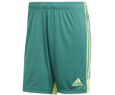 adidas M Tastigo 19 Šortai DP3251