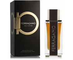Salvatore Ferragamo Ferragamo Ferragamo Spicy Leather PP kvepalai vyrams, 100 ml