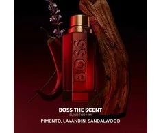 Hugo Boss BOSS The Scent Eliksyras for him Parfum Intense PP kvepalai vyrams, 100 ml