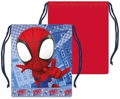 Žmogus-voras ir „Spidey Style“ pietų krepšys 26,5 cm
