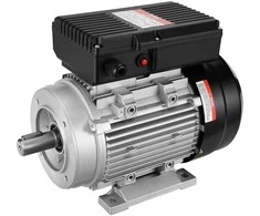 1.1KW Elektros Variklis, 2800RPM AC 220-240V, 24mm Veleno su Kiauryme Vandens Siurbliams, Žemės Ūkio Mašinoms, Pramoninei Įrangai