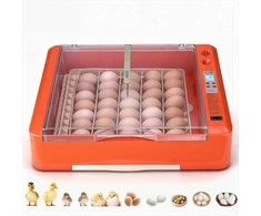 36 kiaušinių inkubatorius vištoms, antims, žąsims ir putpelėms, automatinis vartiklis su LED ovoskopu, temperatūros ir drėgmės kontrolė, 360° skaidrus langas, paukščių perinimo mašina