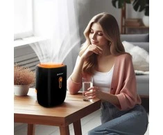 Oro sausintuvas, efektyvus drėgmės sugėrėjas namams, kompaktiškas sausintuvas drėgnoms patalpoms, 800ml talpa, tylus veikimas