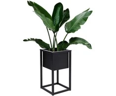 Palėpės stiliaus augalų stovas CONCOVE 40 cm, juodo metalo gėlių stovas, kambarinis vazonų laikiklis, gėlių lentyna, metalinis stovas augalams