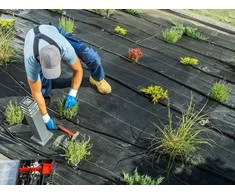 FLO Toya Sa Poland Agrotekstilė rulone | juoda | 90 g/m² | 1,6x50 m (91052)