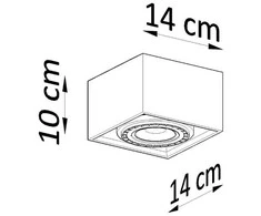 Sollux Lighting Lubinis šviestuvas QUATRO 1 iš natūralaus medžio