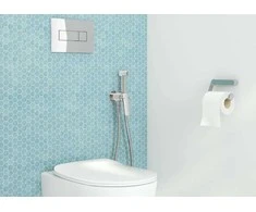 Potinkinis WC komplektas Deante Peonia 6in1, CDES6ZPW, Baltas/Chrome