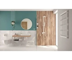 Potinkinis WC komplektas Deante Peonia 6in1, CDEA6ZPW, Baltas/Bianco