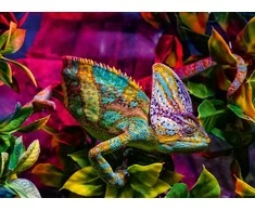 Ravensburger Dėlionė 500 detalių Chameleonas