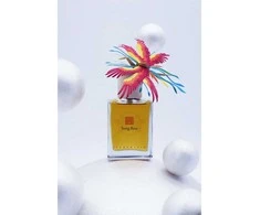 Elementals Fragrances Tong Reg - 50ml EDP - limited edition