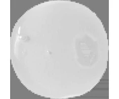 RHEA Atjauninantis kaklo ir dekoltė serumas "MorphoShapes 1"