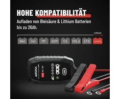 ABSINA motociklų akumuliatorių įkroviklis 6 V ir 12 V, 800 mA, 301006