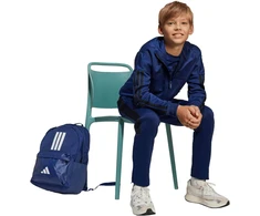 adidas universali kuprinė Classic Three Stripes, 27,5 l, KTL84