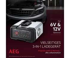 AEG automobilių akumuliatorių įkroviklis 6/12 V 20 A su palaikymo režimu CW20