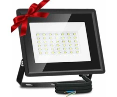 Aigostar LED lauko prožektorius 30 W 2700 lm IP65 6500 K šaltai balta, juodas, Reflektor