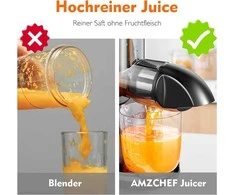 AMZCHEF lėtaeigė vaisių ir daržovių sulčiaspaudė, 150 W, žalia, ZM1501