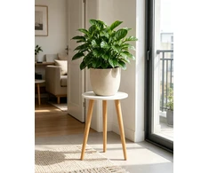 Bamworld medinis augalų stovas apvalus, 40 cm aukščio, baltos spalvos, BHD-01-T