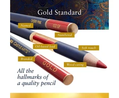 Castle Art Supplies spalvotų pieštukų rinkinys su 72 alyvos pagrindu, su priedais, 72 Gold Zip