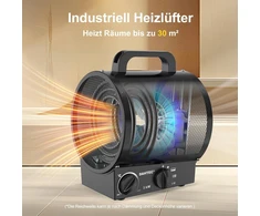 DAHTEC nešiojamas elektrinis šildytuvas 3000 W su termostatu ir apsauga nuo perkaitimo BGP1308-03