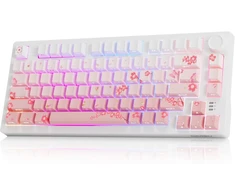 DAREU mechaninė belaidė žaidimų klaviatūra 75 %, 81 klavišas, RGB, EK75 PRO-PK-C