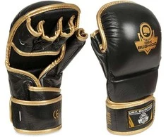 DBX Bushido „Gold“ Bokso pirštinės ir blauzdų apsaugos