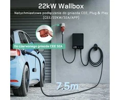 Deaccessories deWB11 Elektromobilių įkrovimo stotelė su programėle, 22 kW