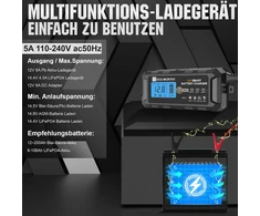 ECO-WORTHY akumuliatorių įkroviklis LiFePO4 ir švino-rūgšties 12 V 5 A SAE EPA1205L
