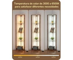 EDISHINE grindų lempa su 4 stiklinėmis lentynomis, 20 W LED, šviesos reguliavimas, ST-F31048