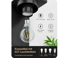 EDISHINE lauko sieninis šviestuvas, IP44, E27, skaidrus stiklas, 15 W, juodas, KH 2401 DN