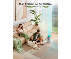 GoveeLife oro valytuvas su HEPA H13 filtru, Wi-Fi valdymu, 24 dB, H7129