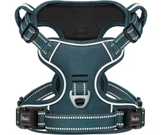 HEELE šunų petnešos nuo tempimo su atšvaitais ir minkšta rankena, L, Harness-1