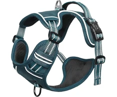 HEELE šunų petnešos nuo tempimo su atšvaitais ir minkšta rankena, L, Harness-1