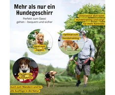 Hundefreund petnešos vidutiniams šunims, atšvaitinės, paminkštintos, reguliuojamos, M dydžio