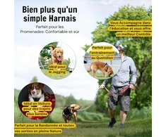 Hundefreund šunų petnešos su atšvaitais, paminkštinimu ir 3 sagtimis, XL, raudonos