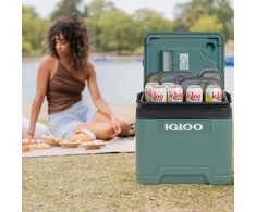 Igloo nešiojamas termoelektrinis automobilinis šaldytuvas 27 l, 12 V / 230 V, Ie27 modelis