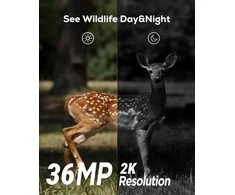 iZEEKER medžioklinė kamera IP66, 32 MP, naktinis matymas, judesio jutiklis, iG200