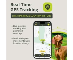 Kippy GPS sekiklis šunims ir katėms, atsparus vandeniui, su 4G LTE-M, žalias