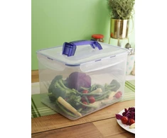 LocknLock maisto laikymo dėžutė PP Classic 10 l su rankena ir įdėklu