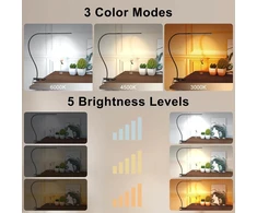 Mojimdo stalinė LED lempa su spaustuku, 10 W, 3 spalvų režimai TBL402RF-BK