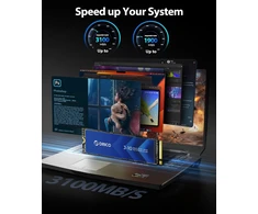 ORICO vidinis 1 TB M.2 2280 NVMe SSD su radiatoriumi, PCIe 3.0 x4, J10-1TB
