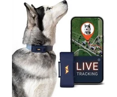 PAJ GPS gyvūnų GPS seklys, 4G, atsparus vandeniui, baterija iki 10 dienų, PET Finder 4G - blauw